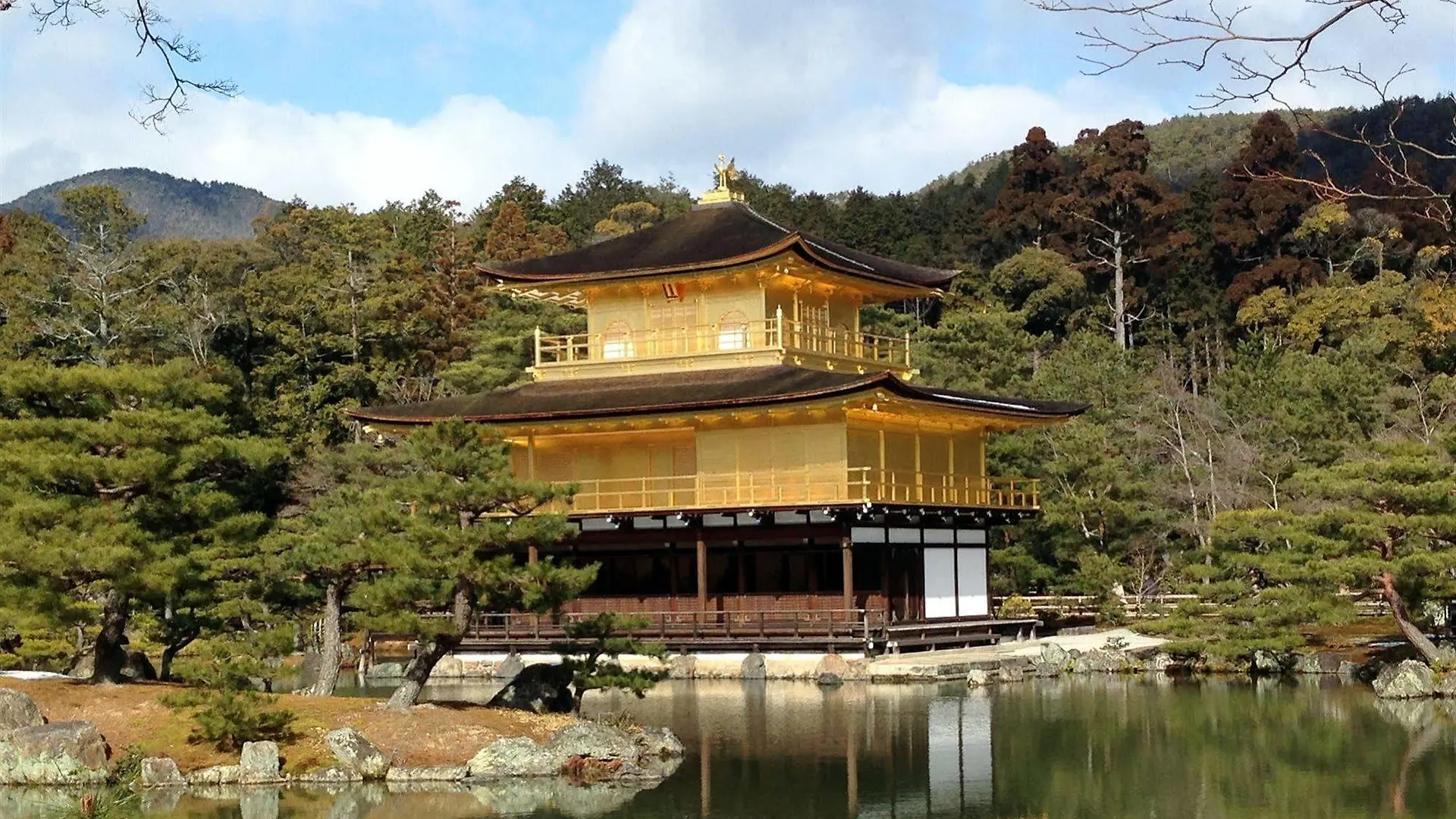 京都站前利夫马克斯经济型酒店 京都