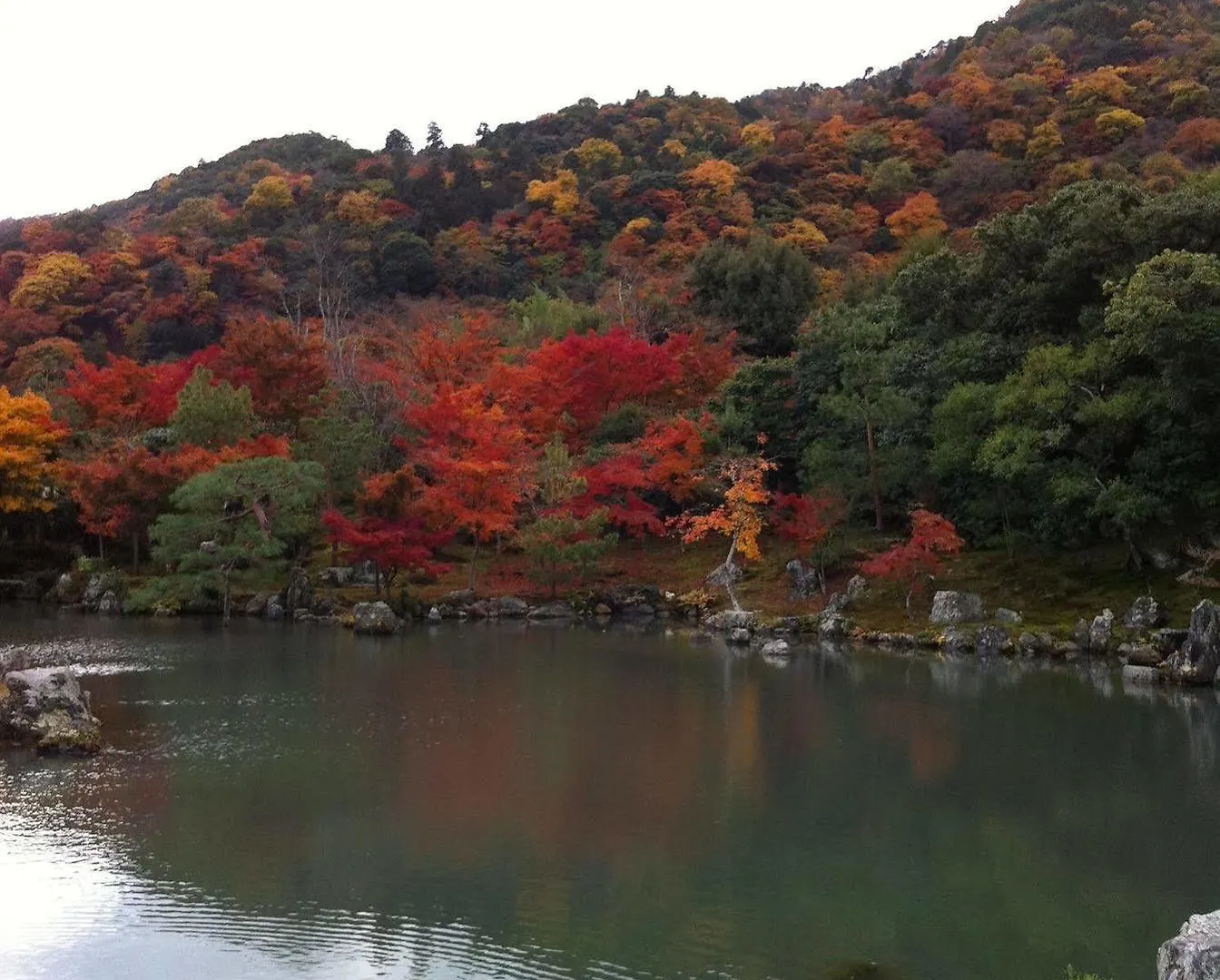 京都站前利夫马克斯经济型酒店 2*, 京都 日本